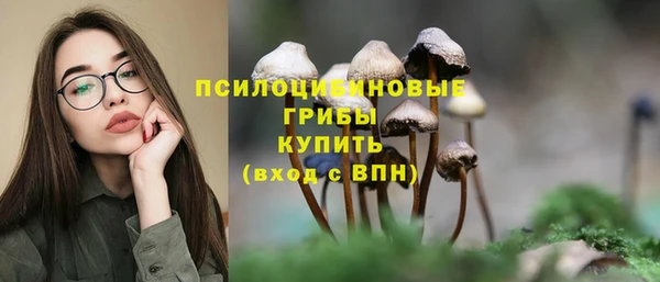 PSILOCYBIN Вязьма
