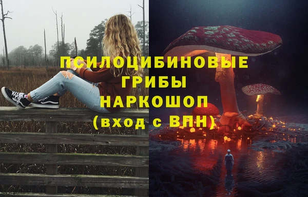PSILOCYBIN Вязьма