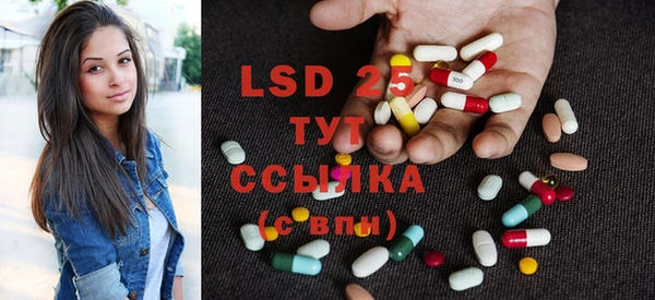 PSILOCYBIN Вязьма