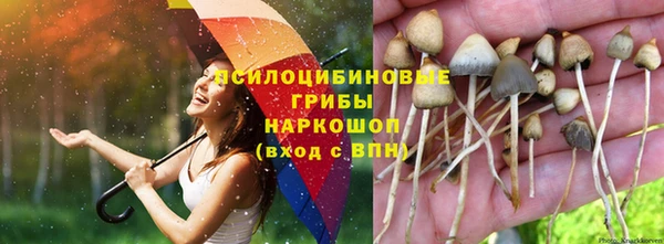 ALPHA PVP Вязники