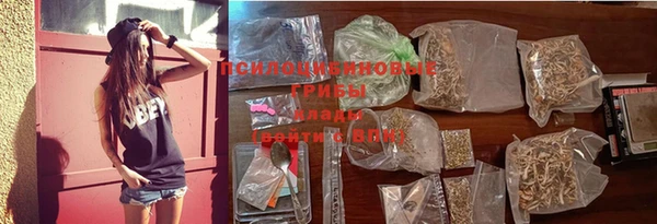 PSILOCYBIN Вязьма