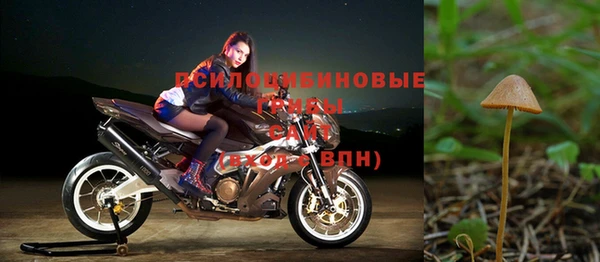 ALPHA PVP Вязники