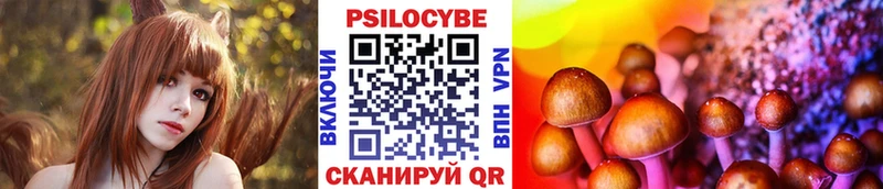 Псилоцибиновые грибы GOLDEN TEACHER  Купить  Коркино 